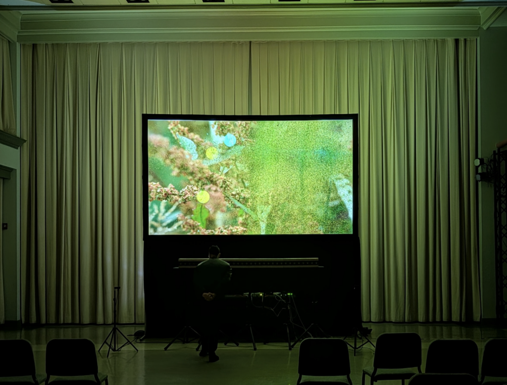 Image of a screen in a concert hall featuring a close up of a plant that has green and yellow animated dots and pixels over it. 