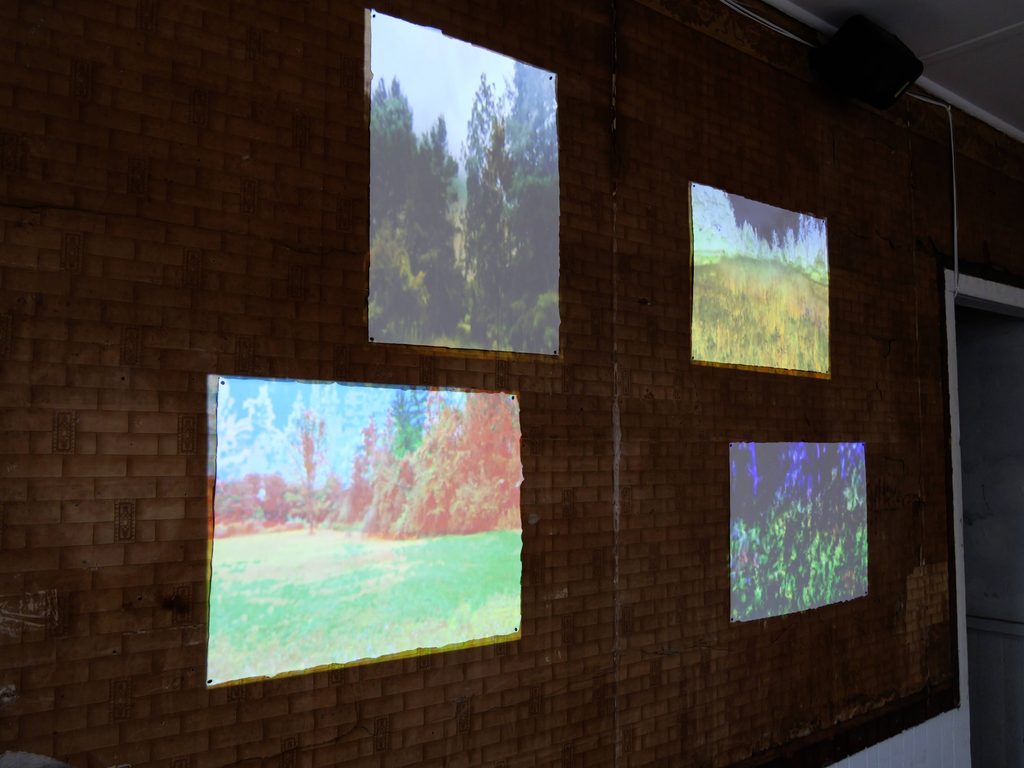 A still image of four video frames projected onto a wall, each one displaying colorful landscapes from Ithaca, NY